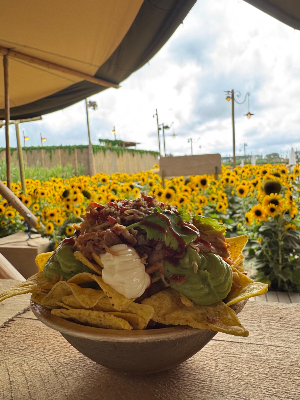 Royale loaded nacho's van Bourgondish tijdens Campo Solar