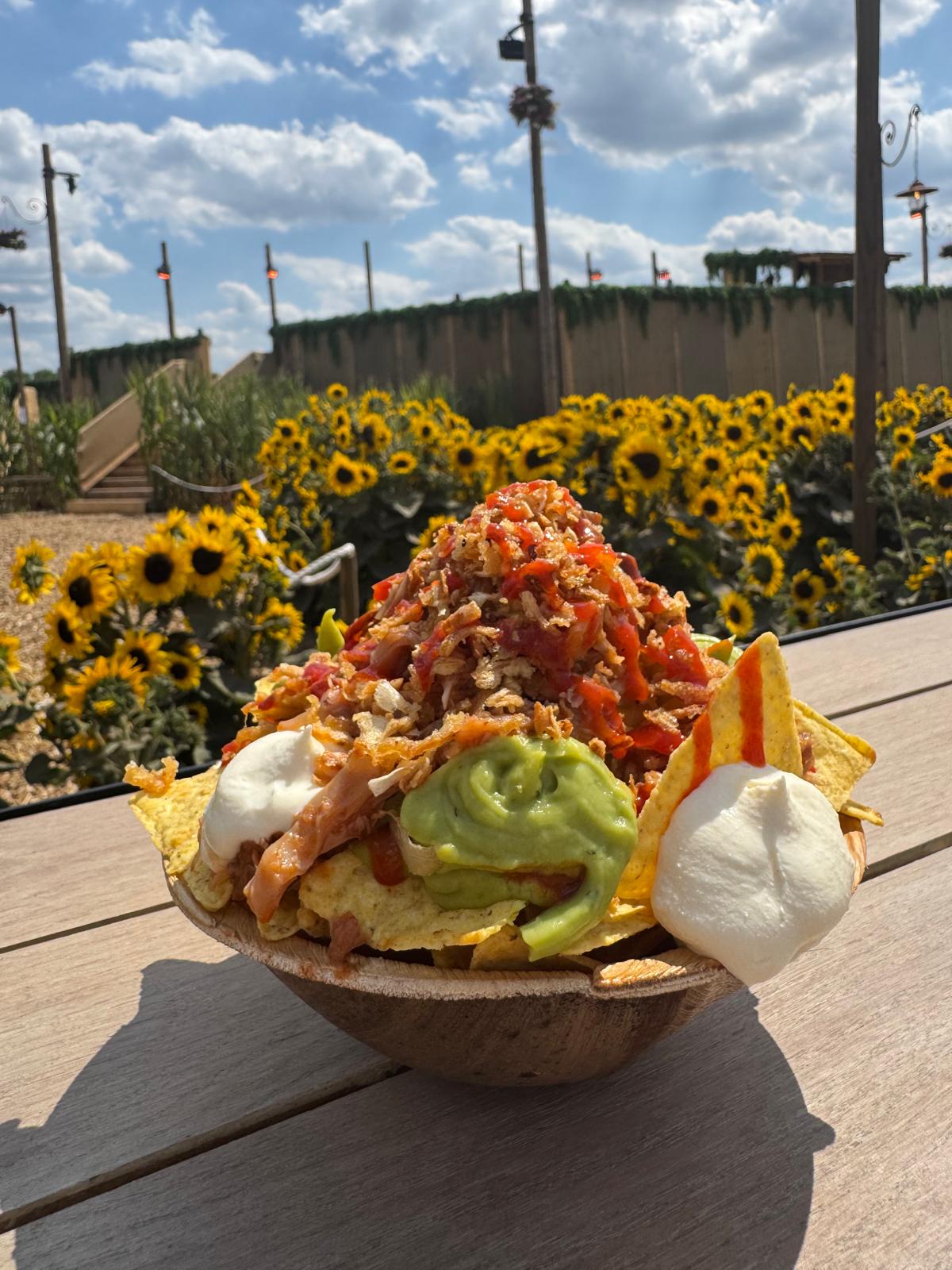 Royaal geladen nacho's met pulled chicken, guacamole en zure room op Campo Solar