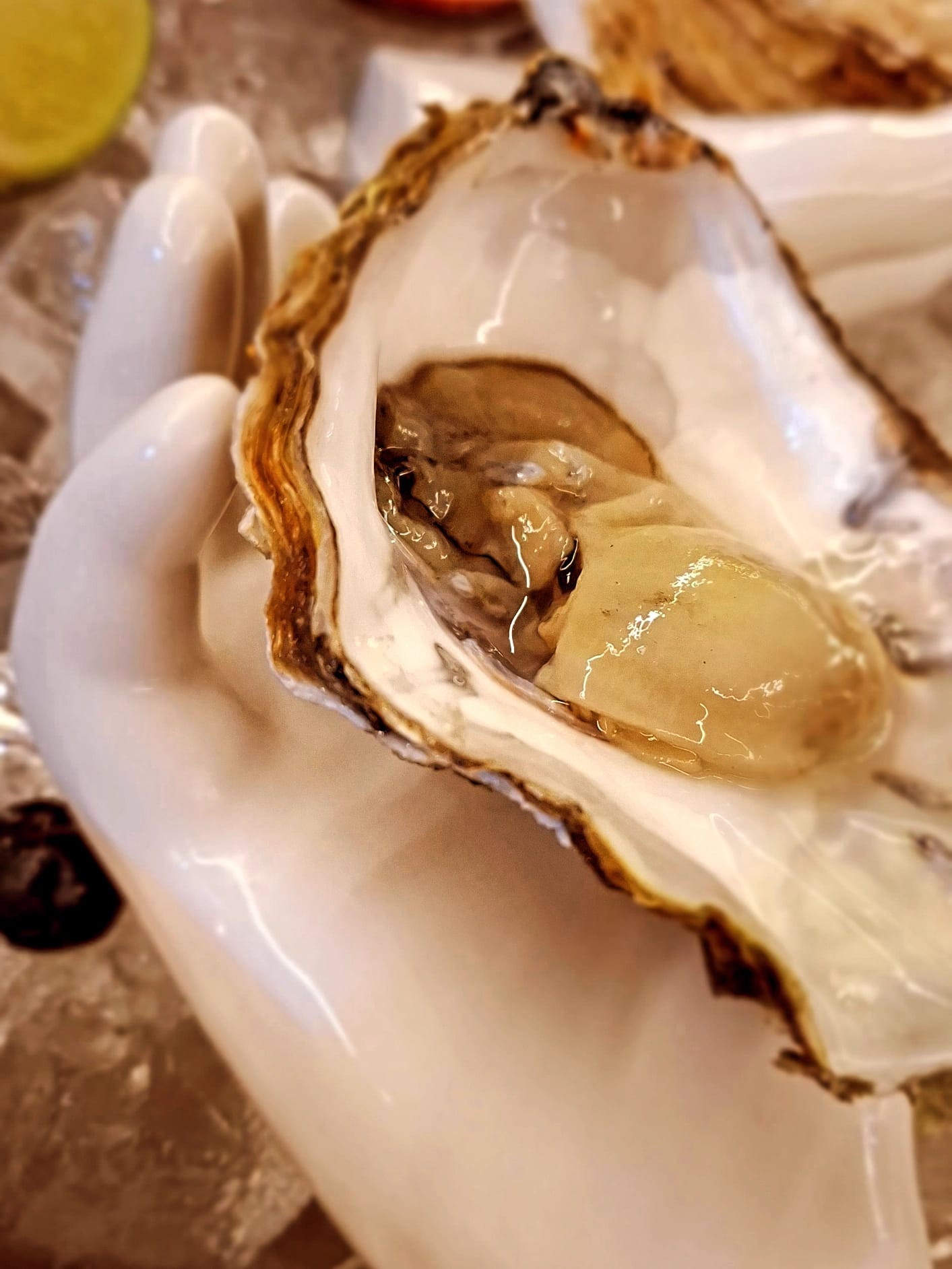 Close-up van een vers geopende oester