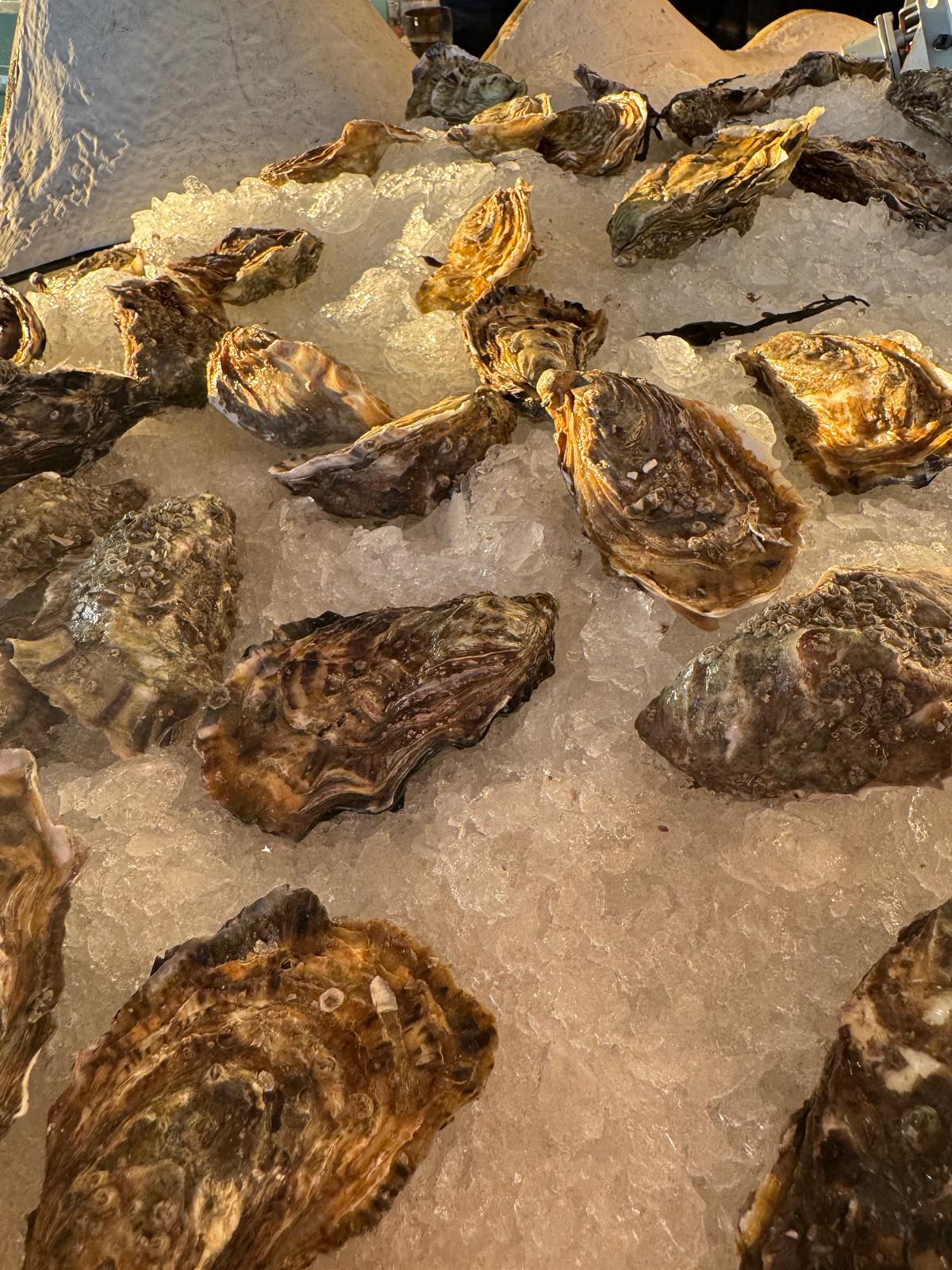 Verse oesters gekoeld op een bed van ijs